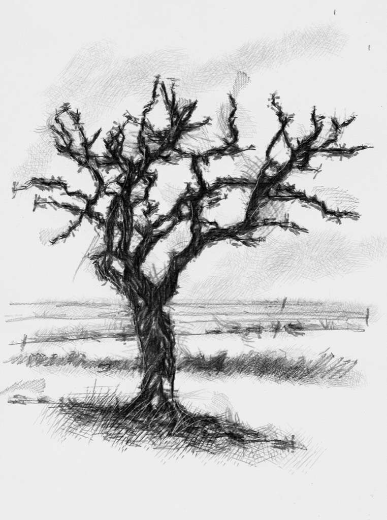 Bleak tree | SeanBriggs