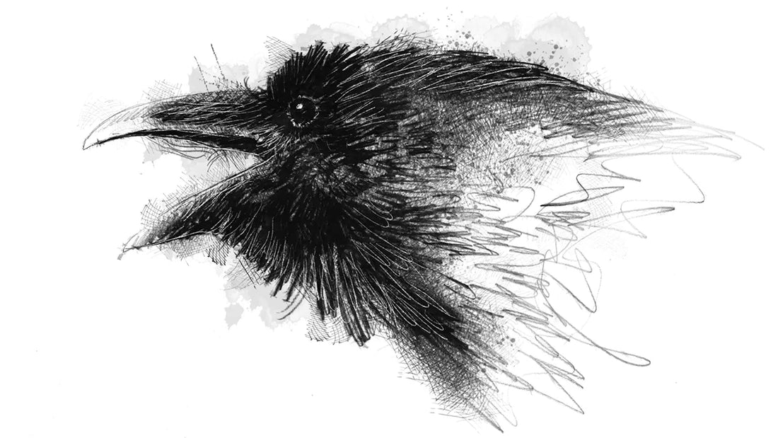 Sketching crows