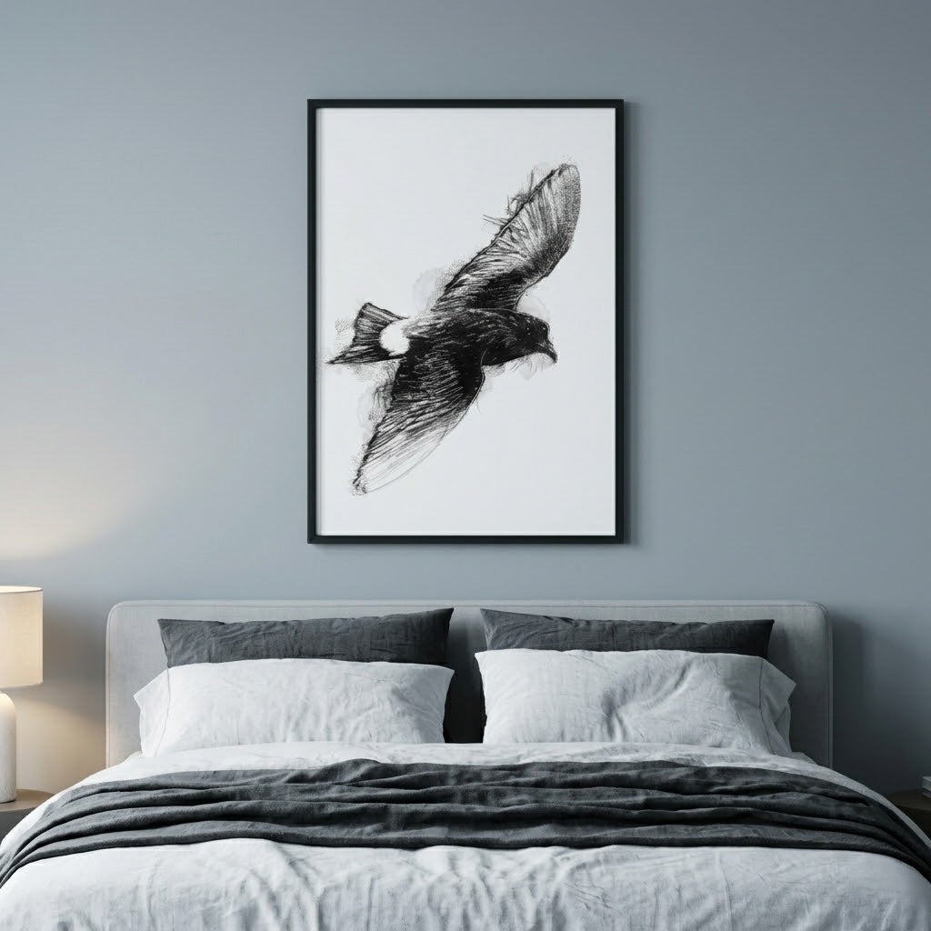 Storm petrel - BW Sketch