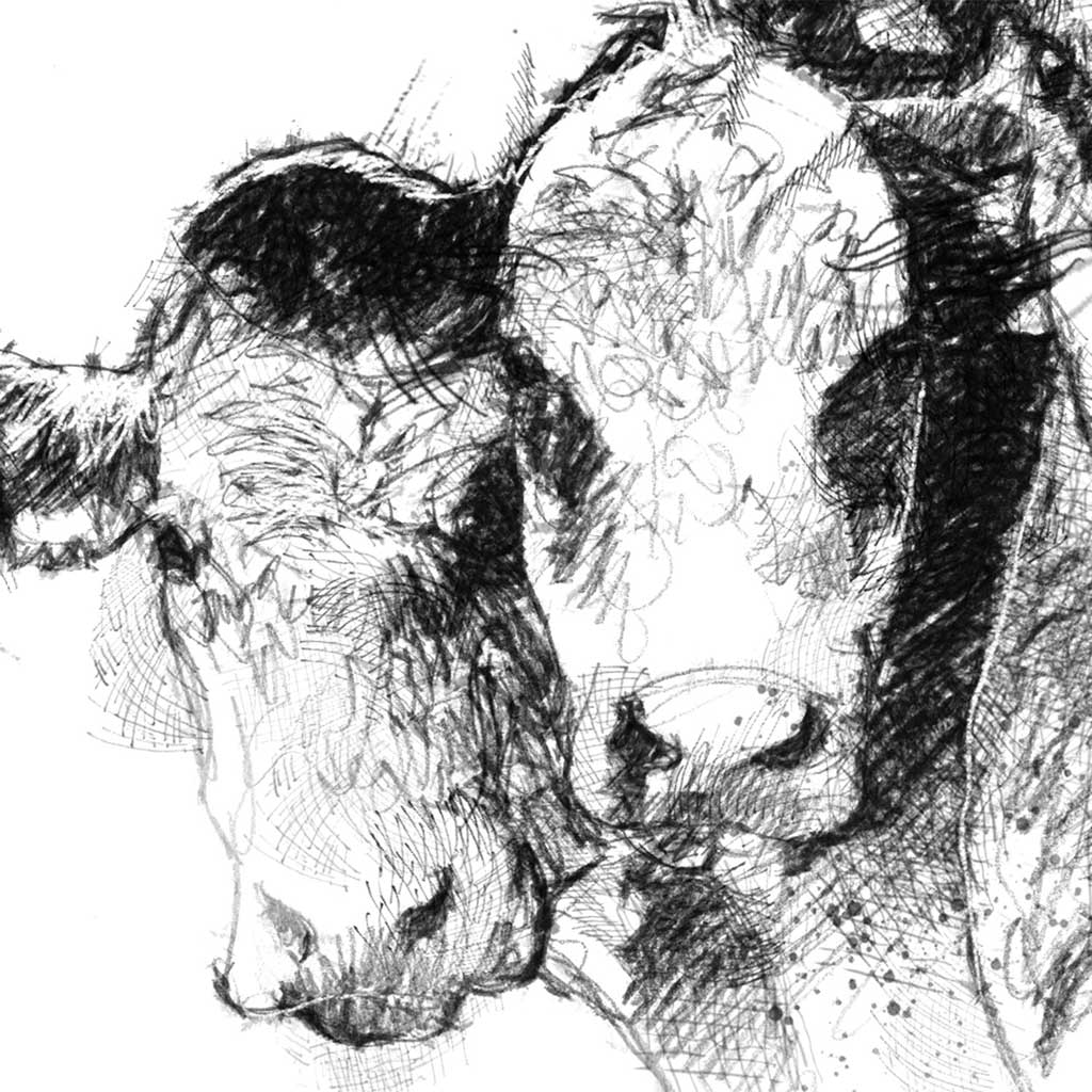 Three cows