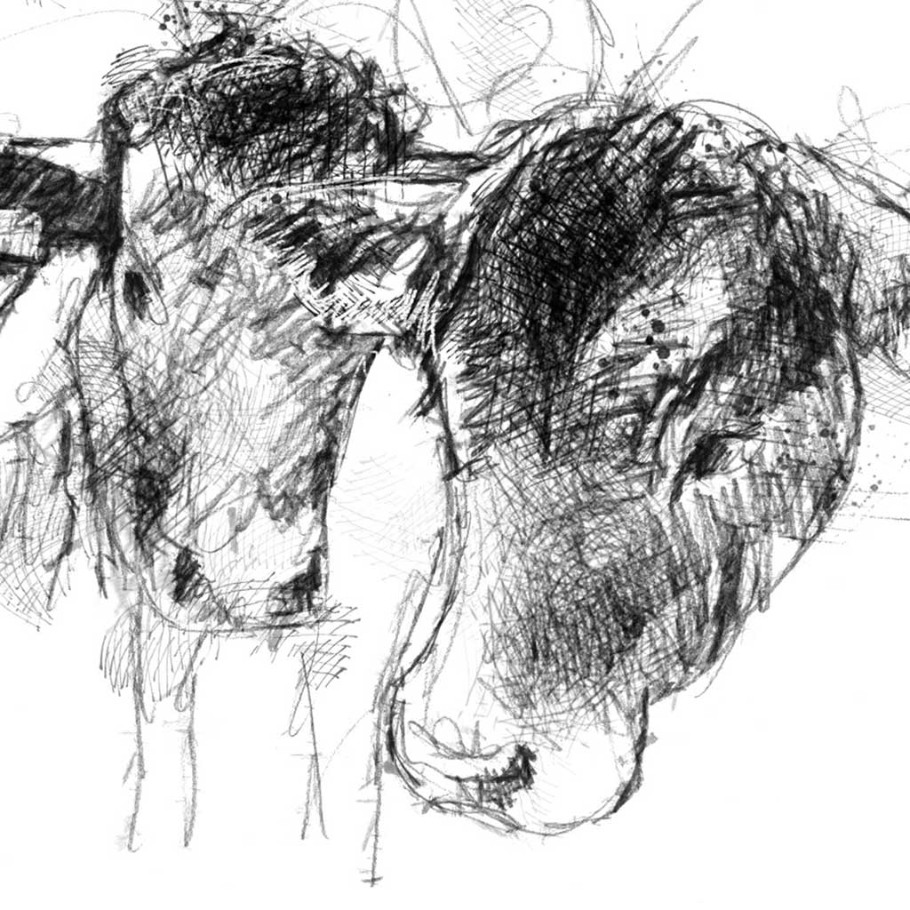 Another 3 cows