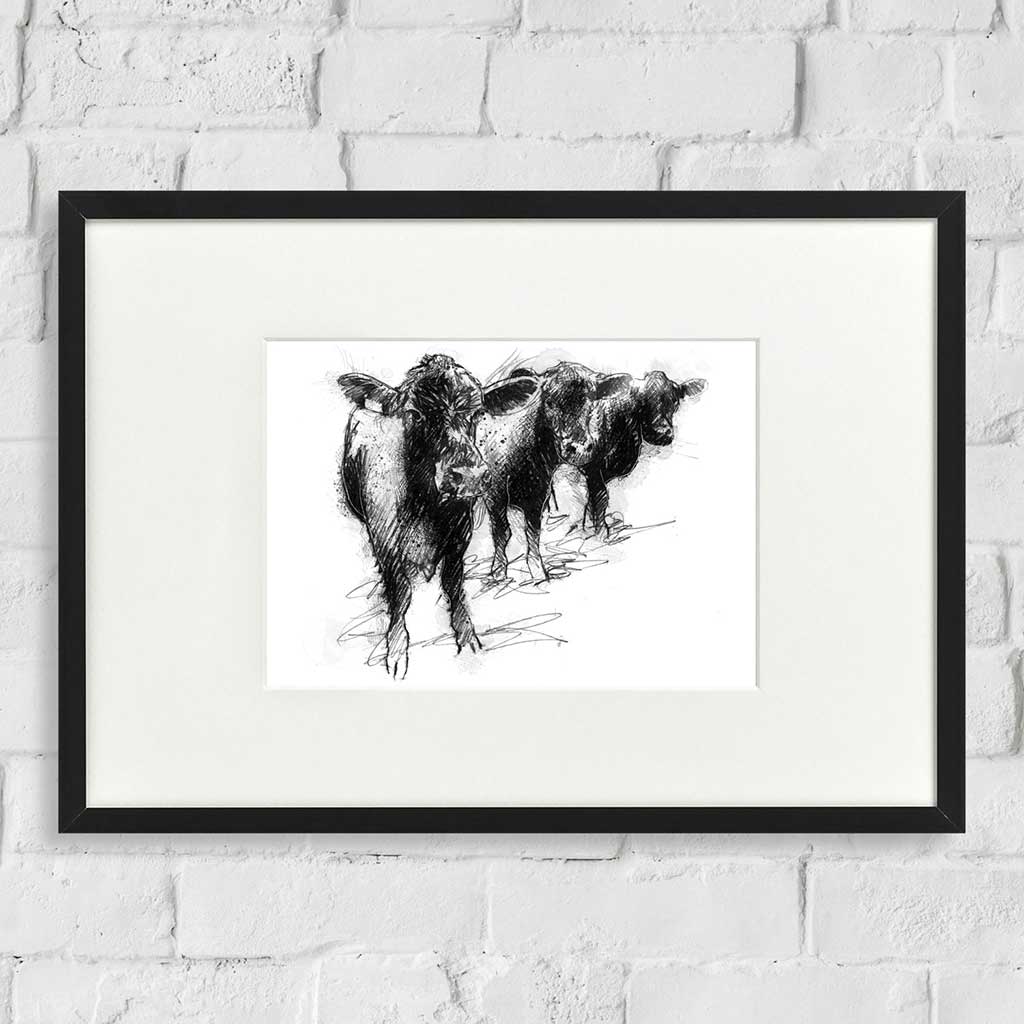 Three cows waiting