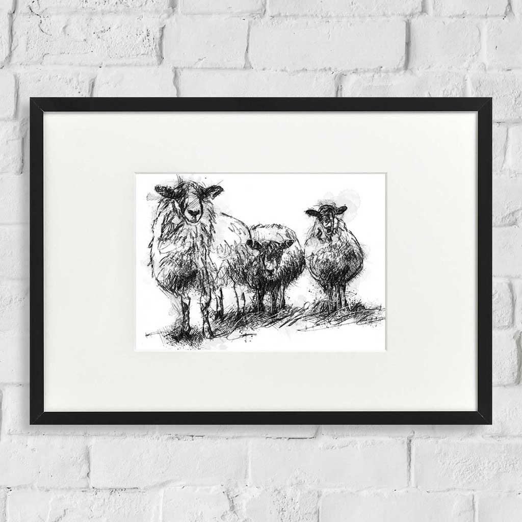 Three sheep