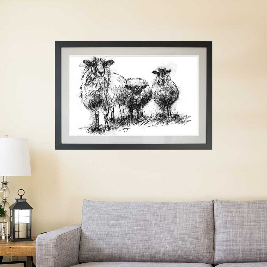 Three sheep