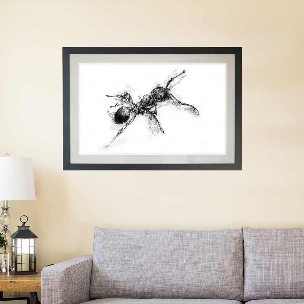 Red ant