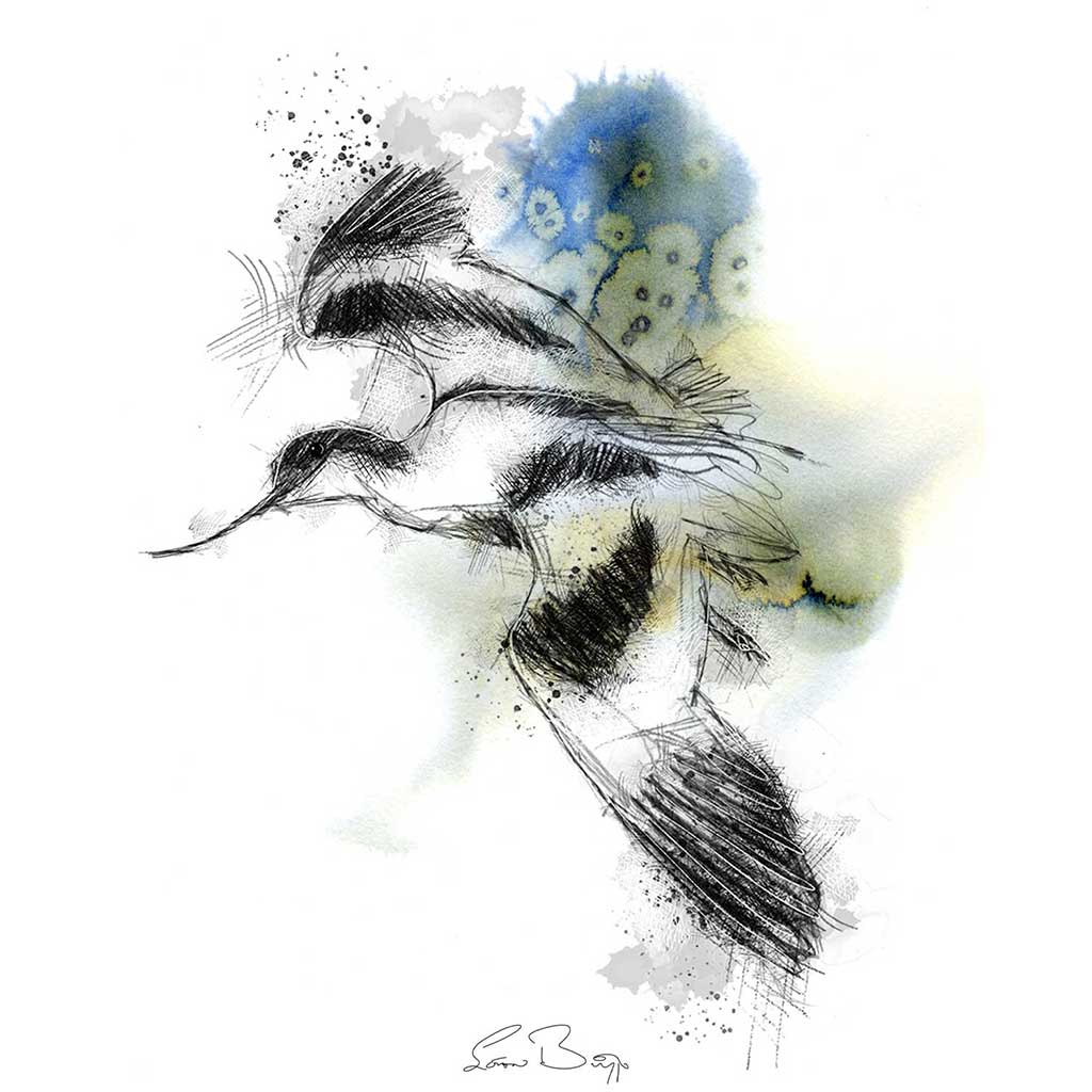 Avocet flight