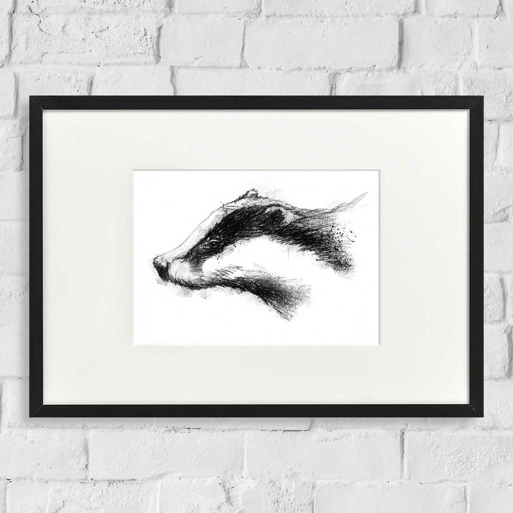 European badger