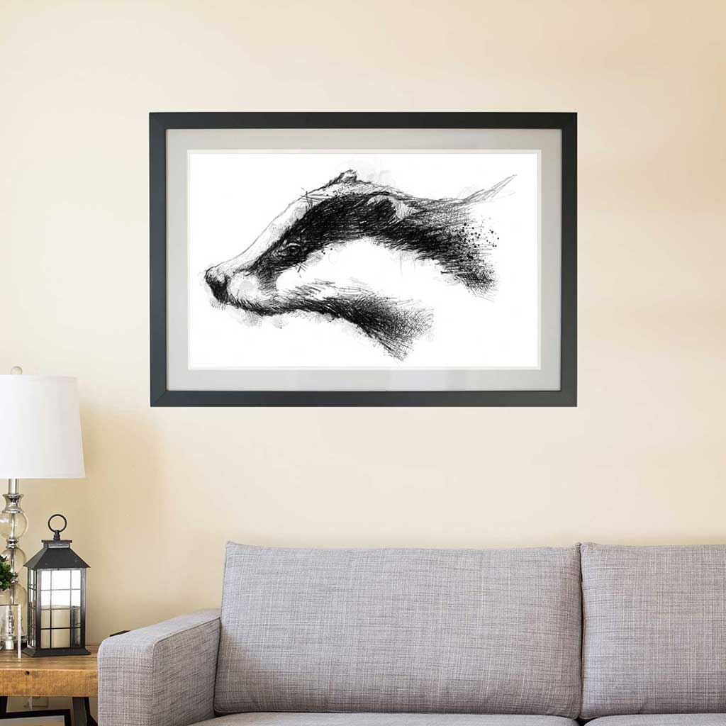 European badger