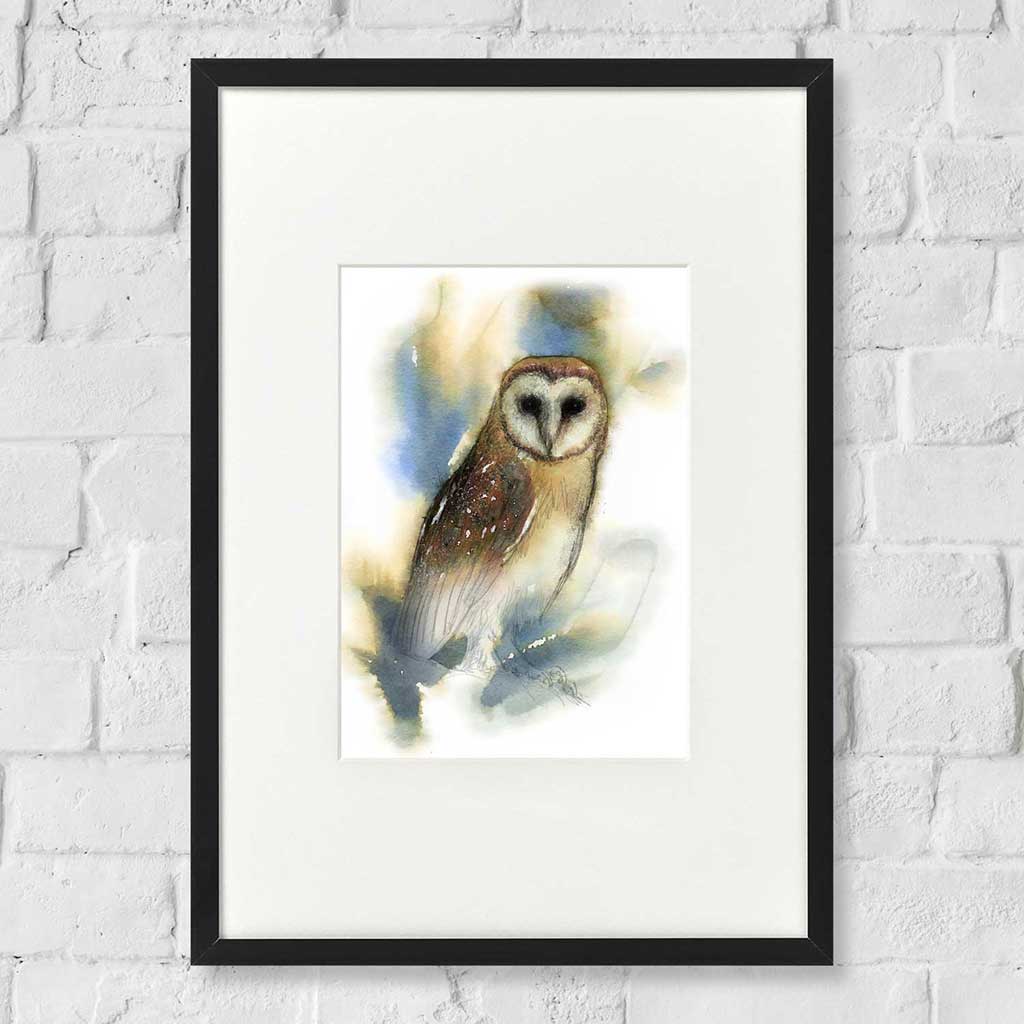 Barn owl