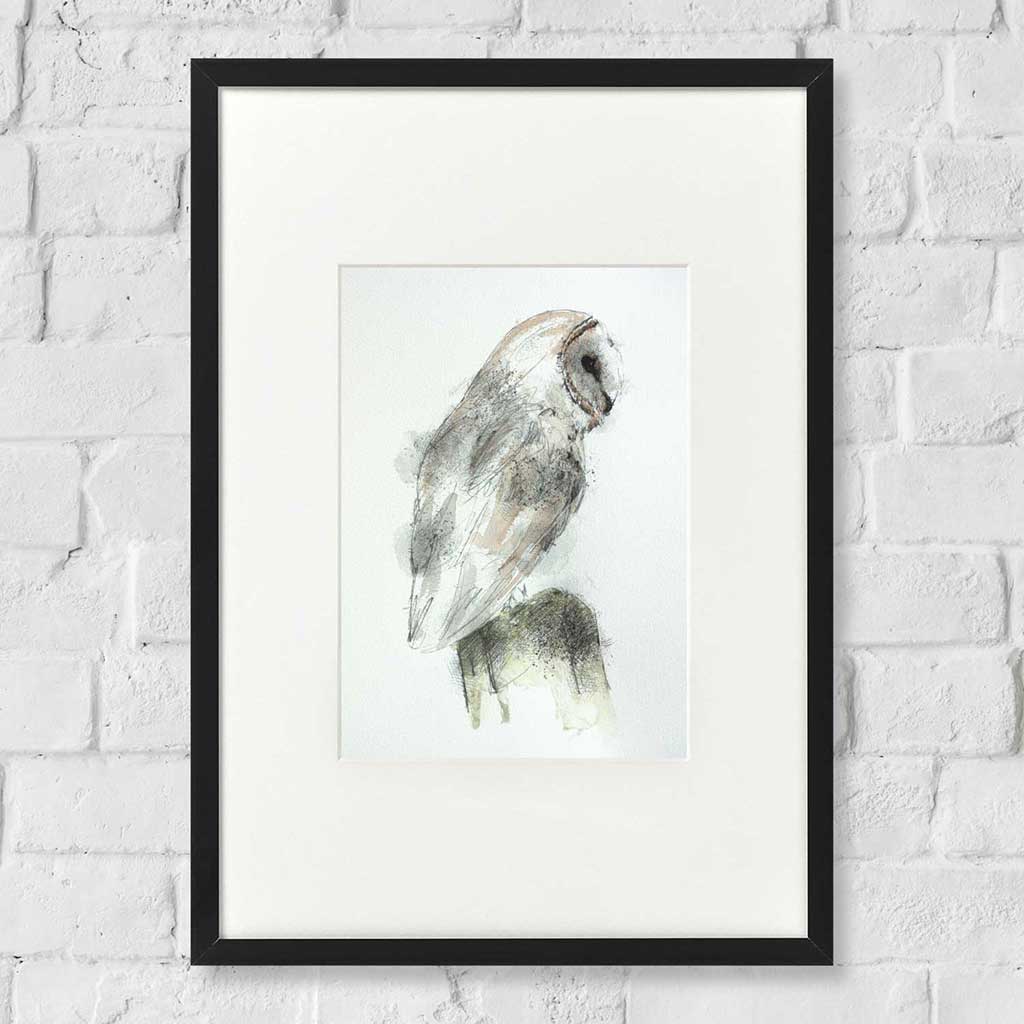 Barn owl perched