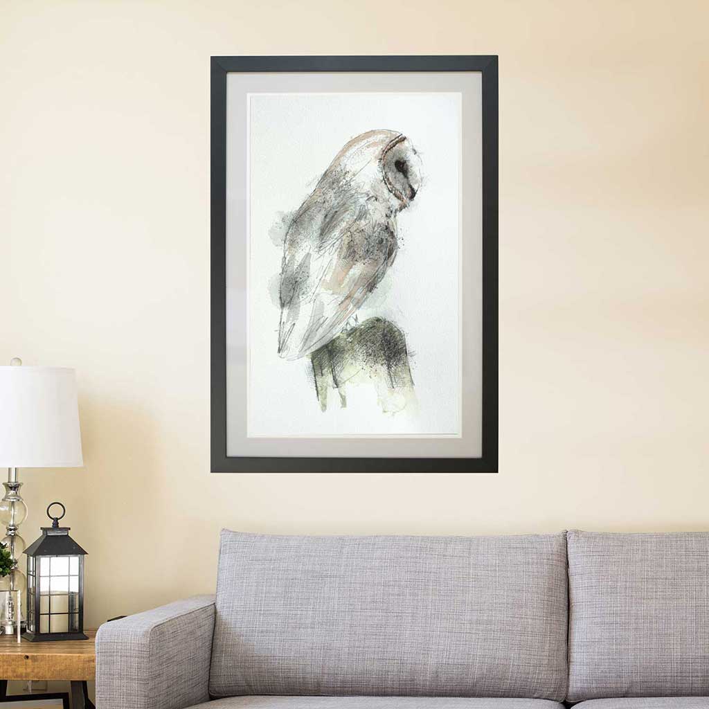 Barn owl perched