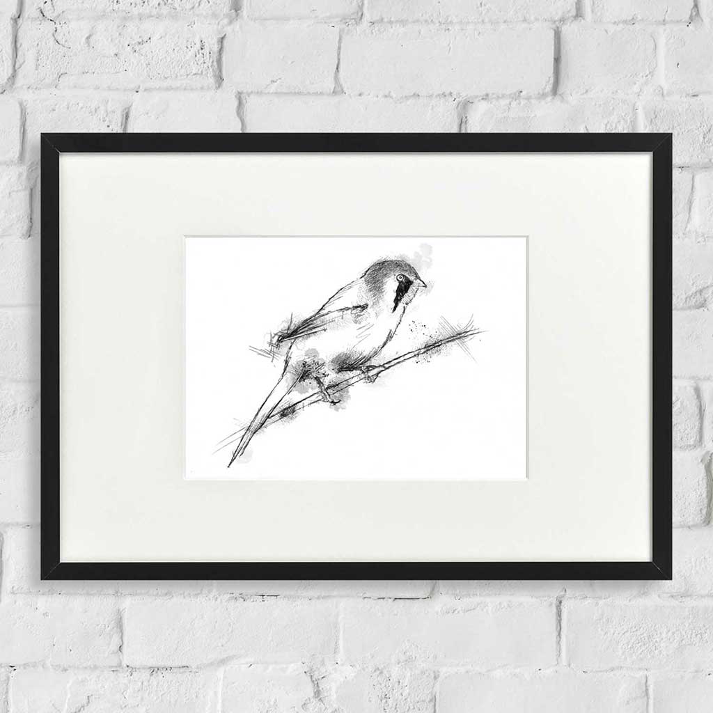 Bearded tit
