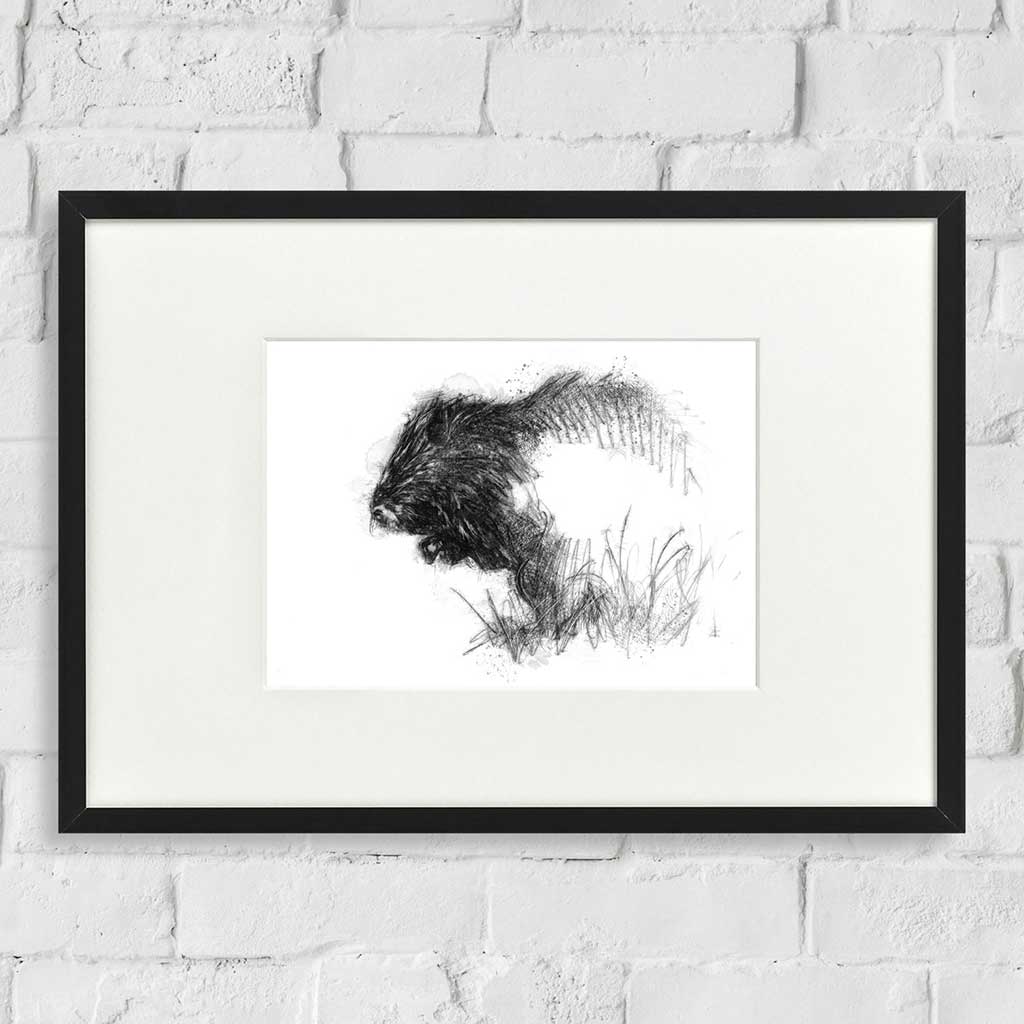 Beaver