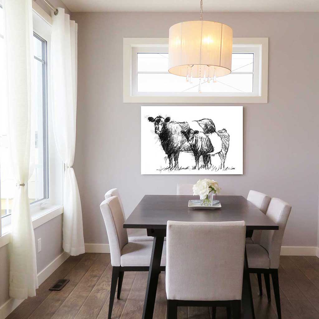 Belted Galloways