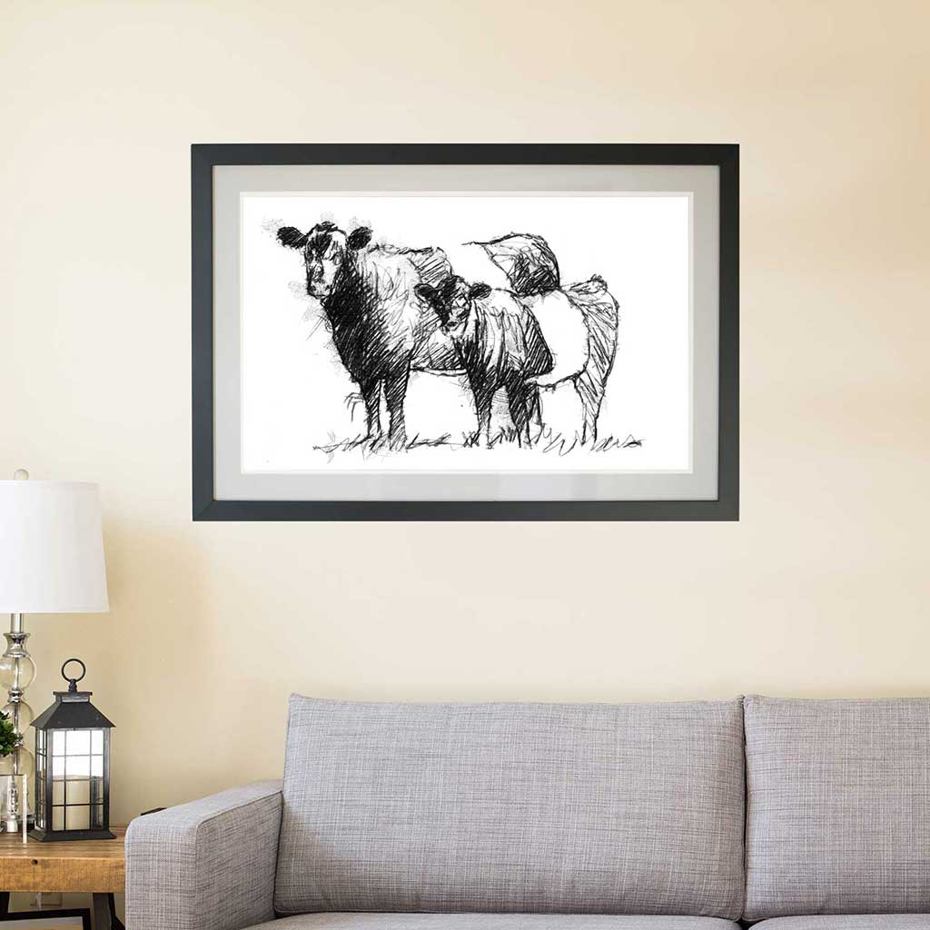 Belted Galloways