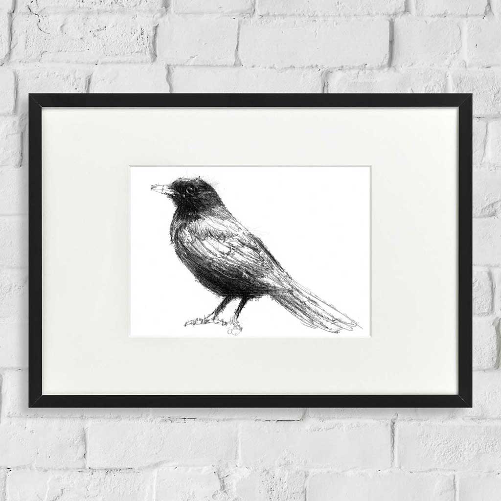 Blackbird