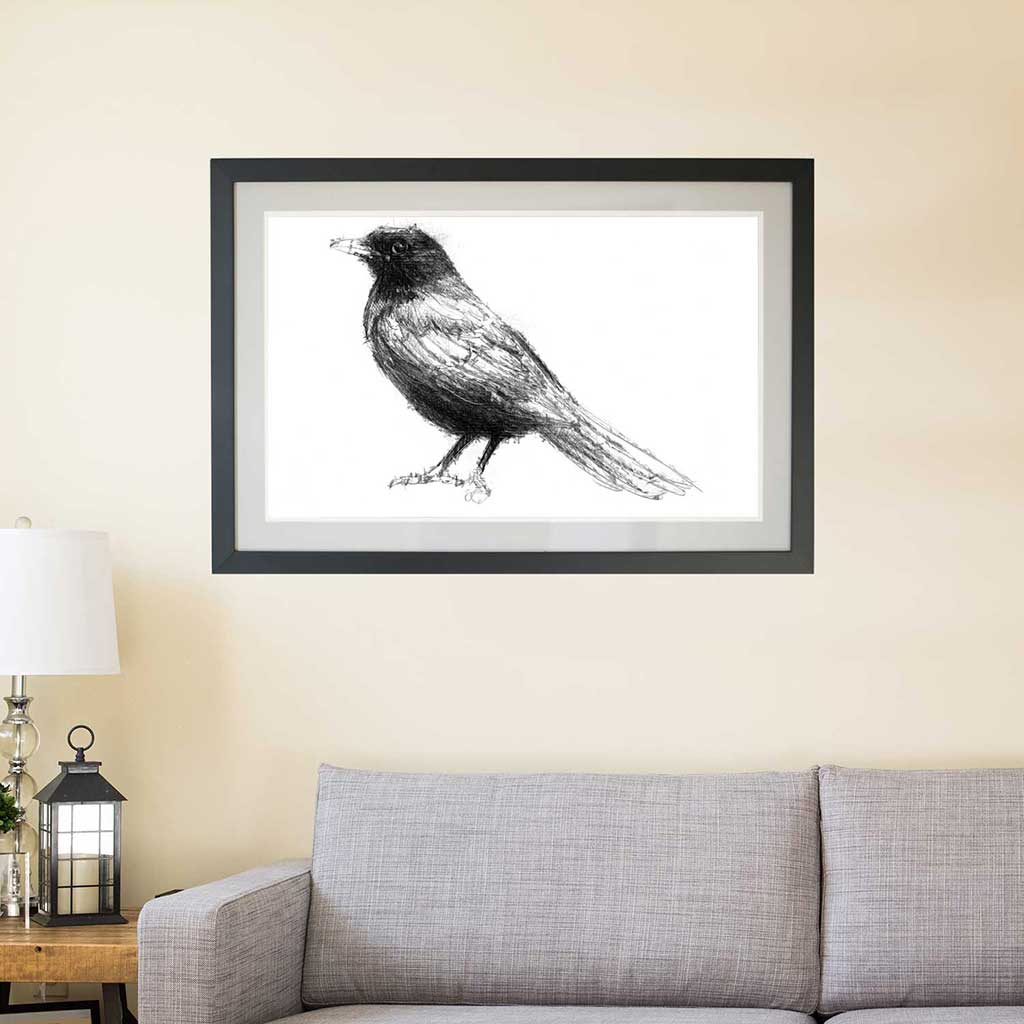 Blackbird