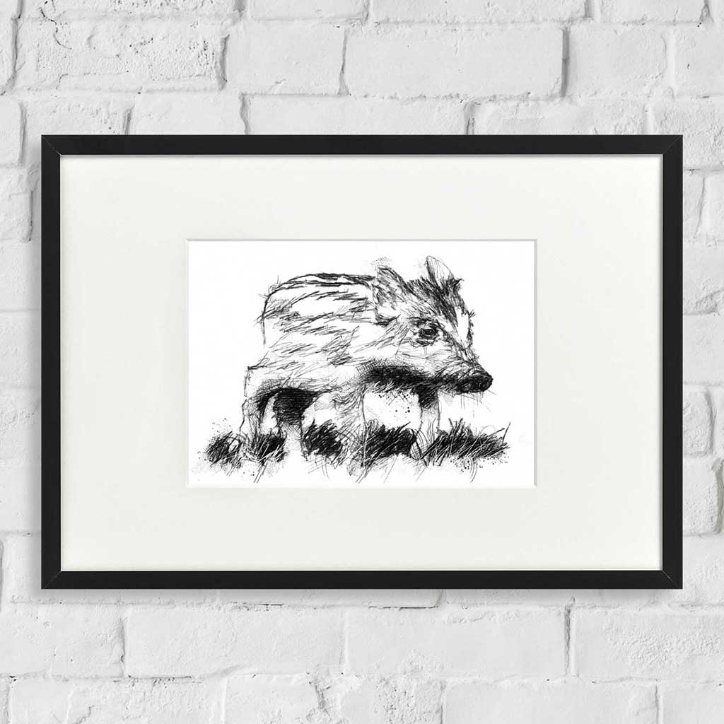 Wild boar piglet