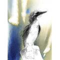 Blue footed booby