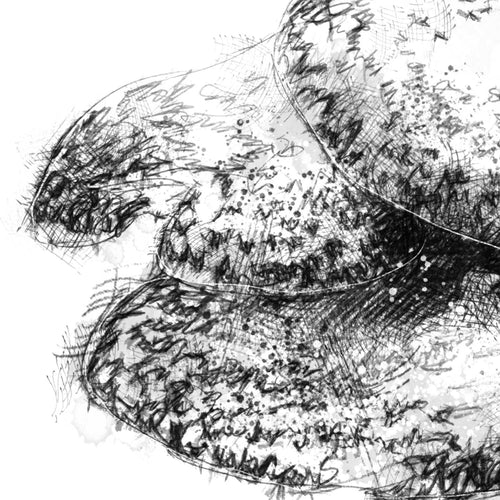 Bracket fungus