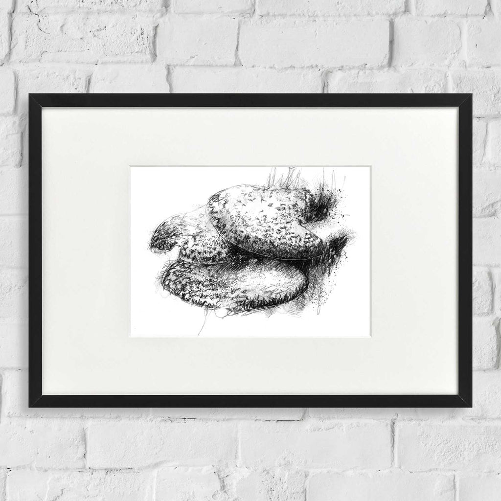 Bracket fungus