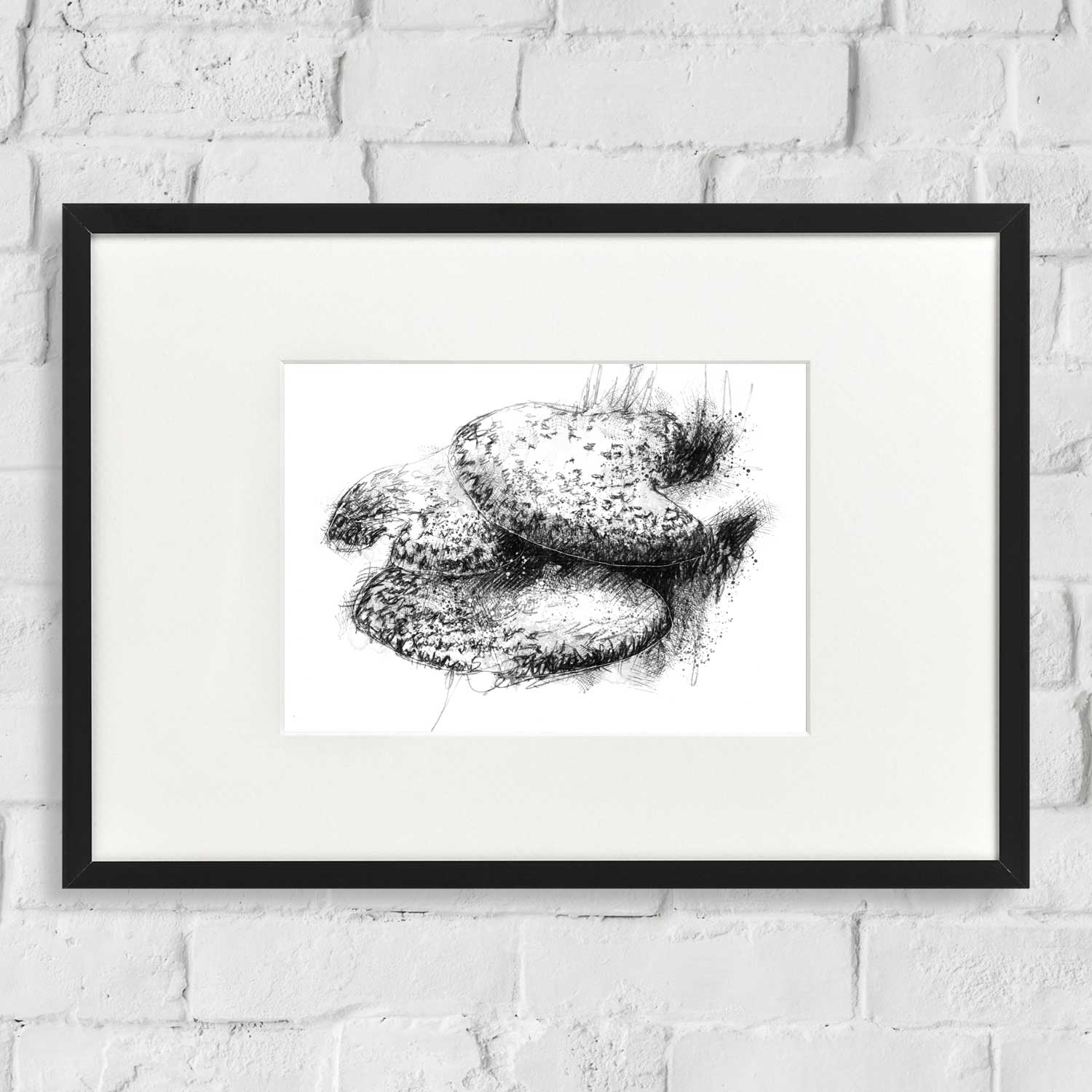 Bracket fungus