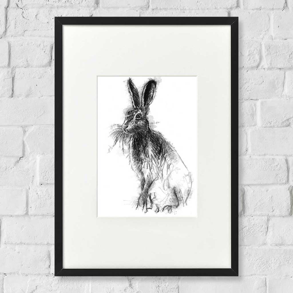 Brown hare sitting