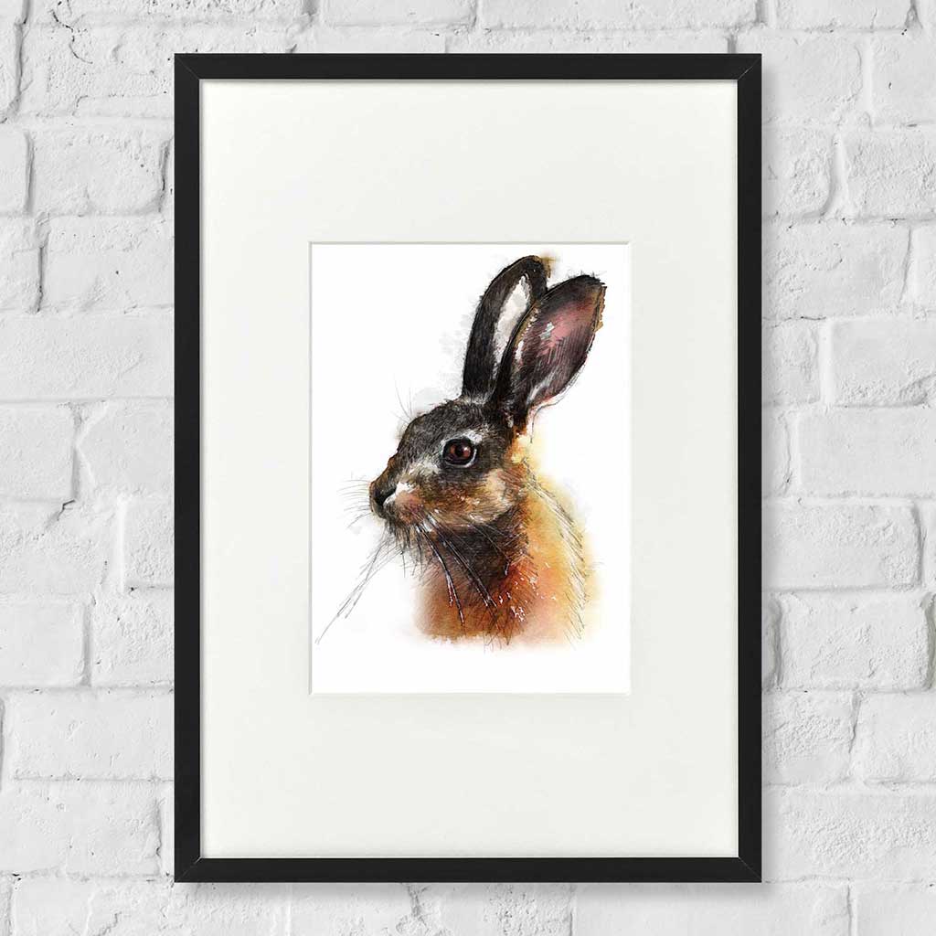 Brown hare