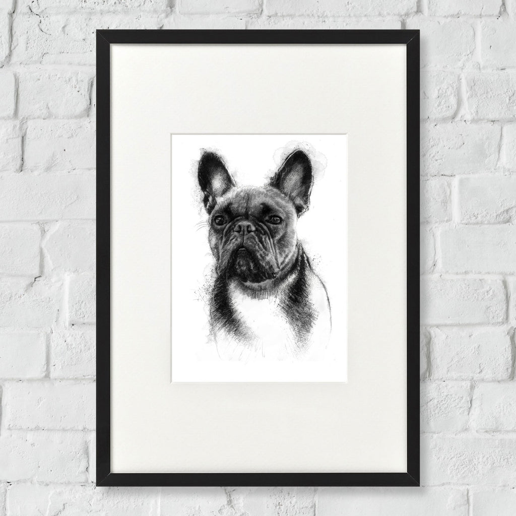 French bulldog