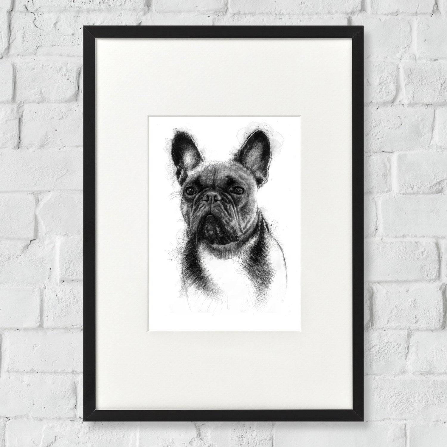 French bulldog