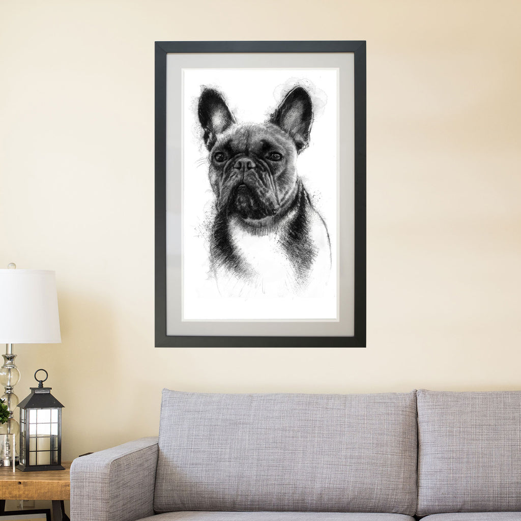 French bulldog