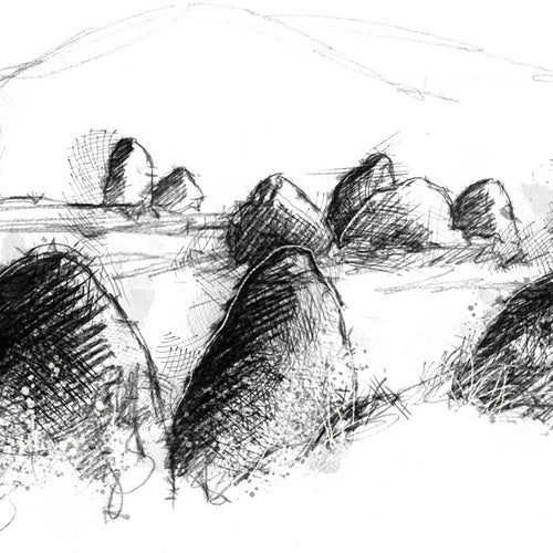 Castlerigg stones