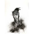 Crow call