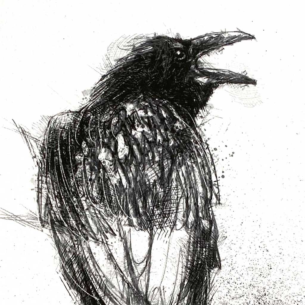 Crow call