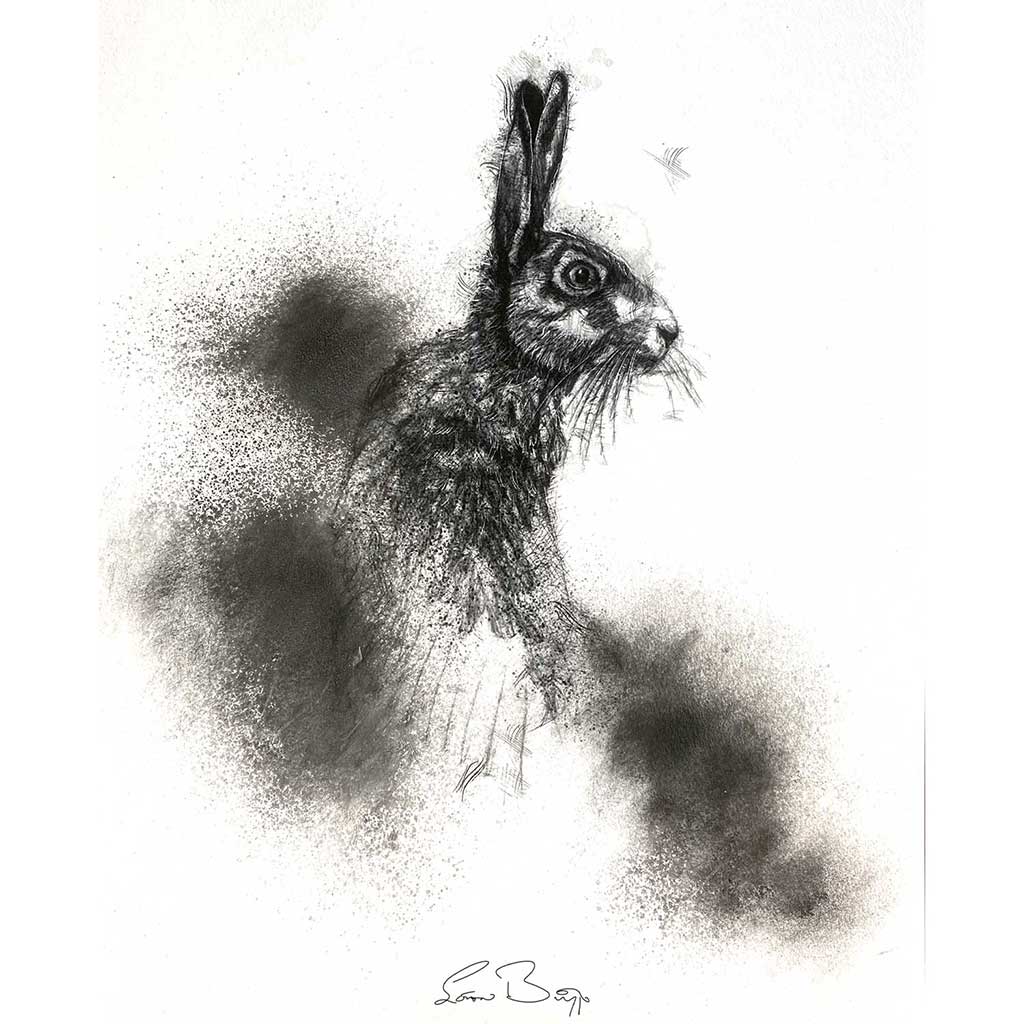 Brown hare