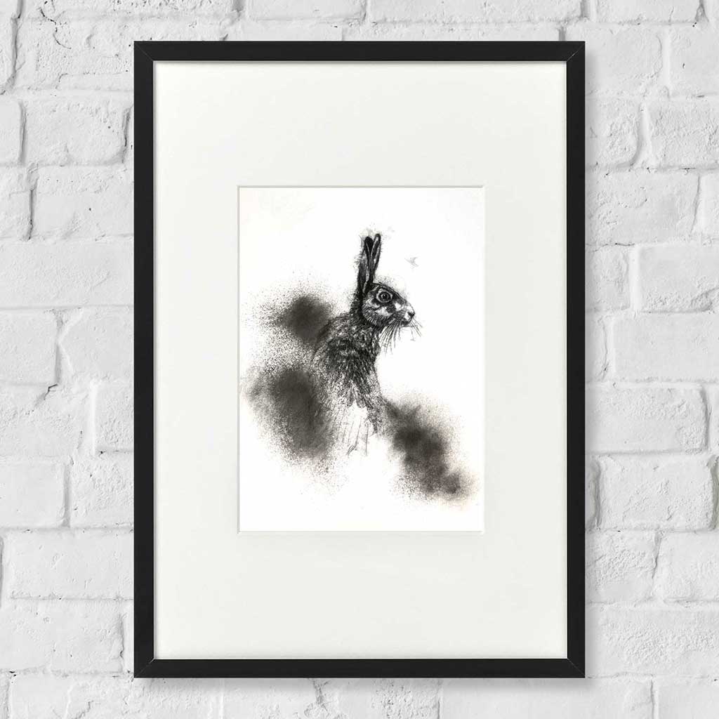Brown hare