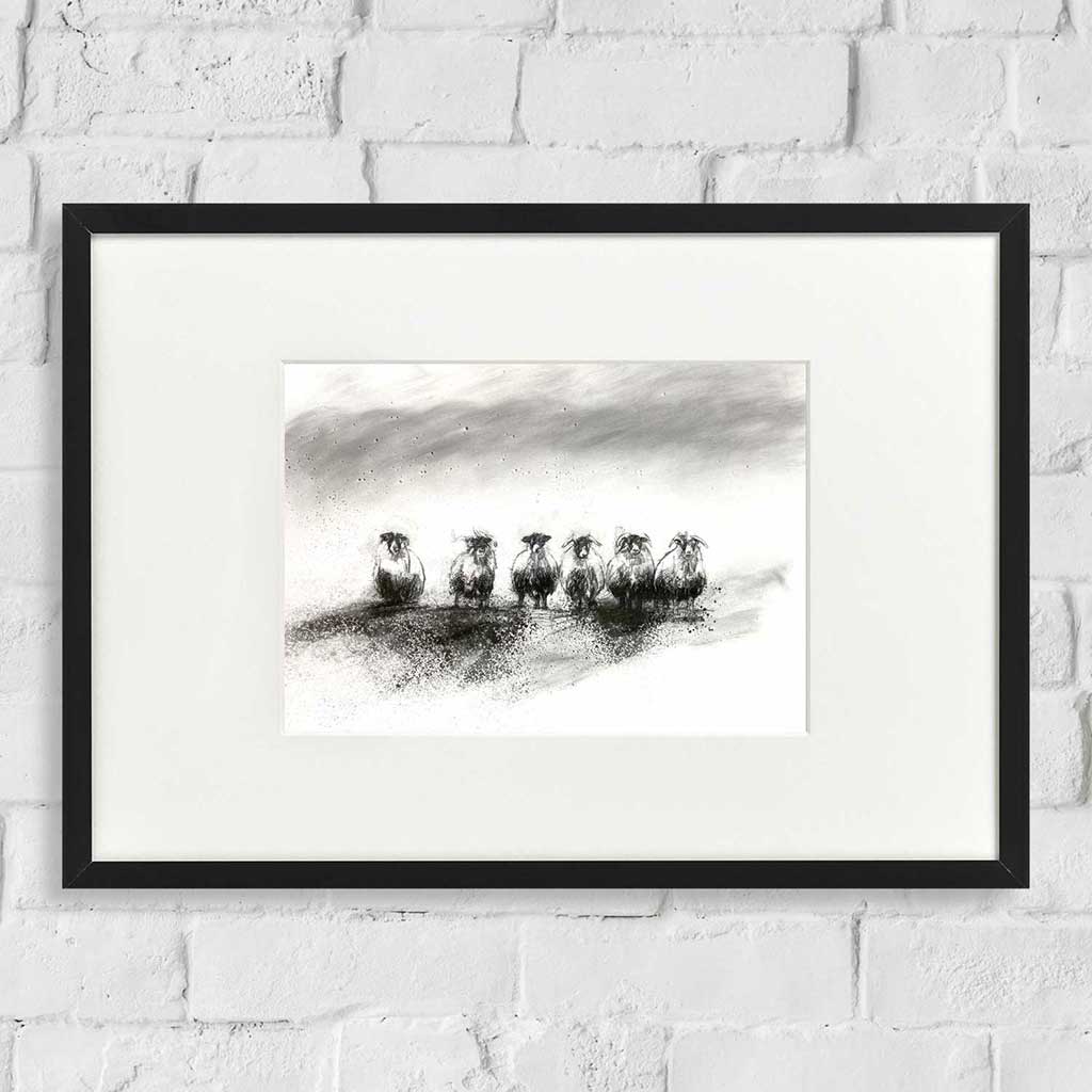 Sheep flock