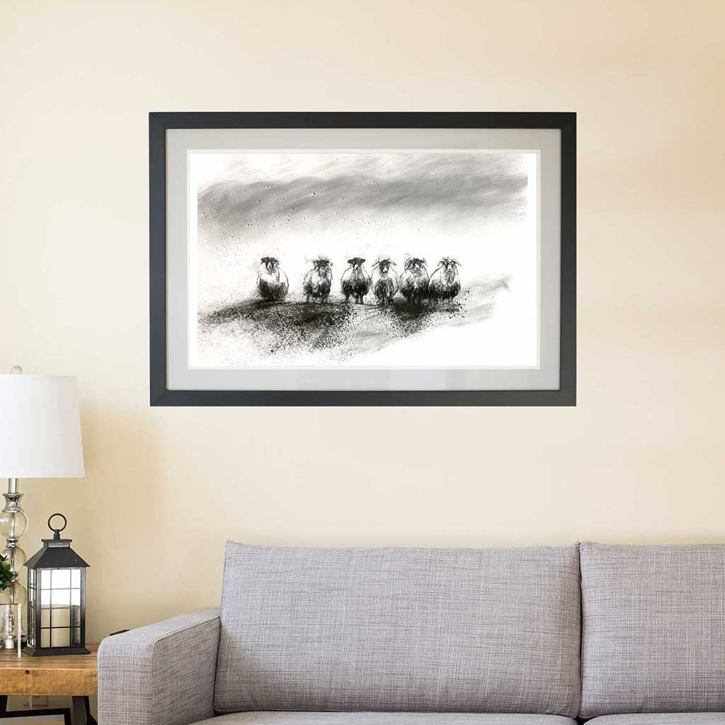 Sheep flock