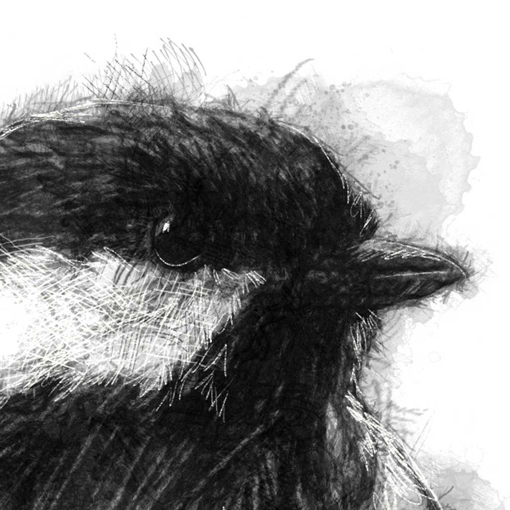 Great tit