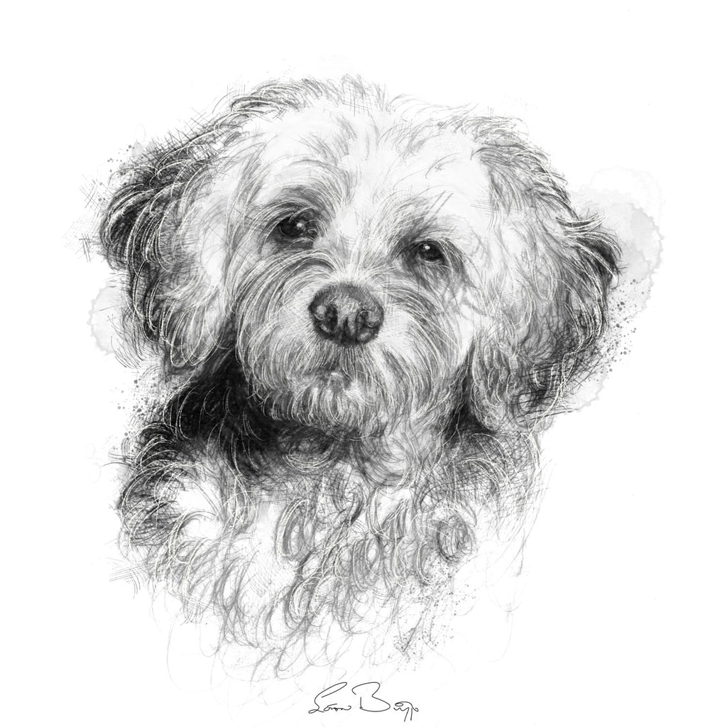 Cockerpoo