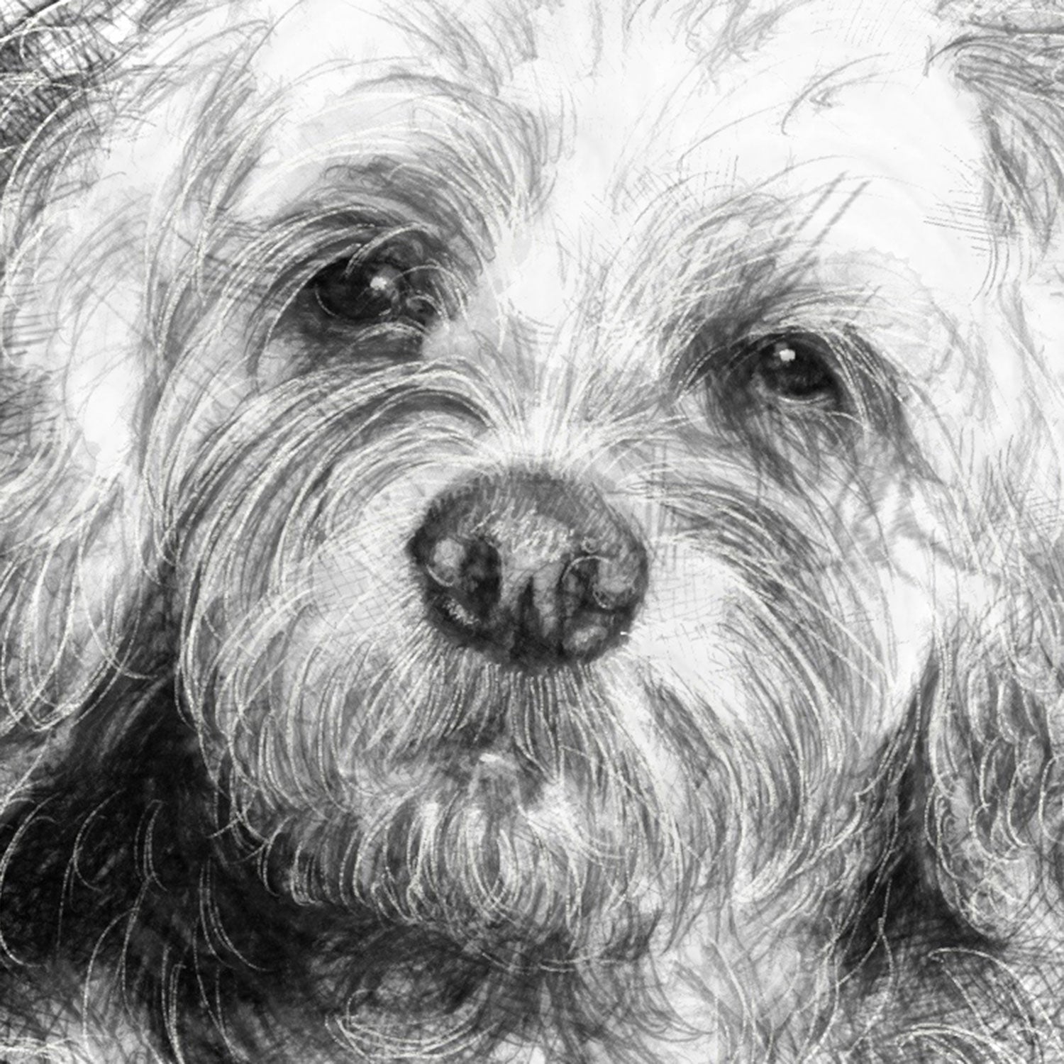 Cockerpoo