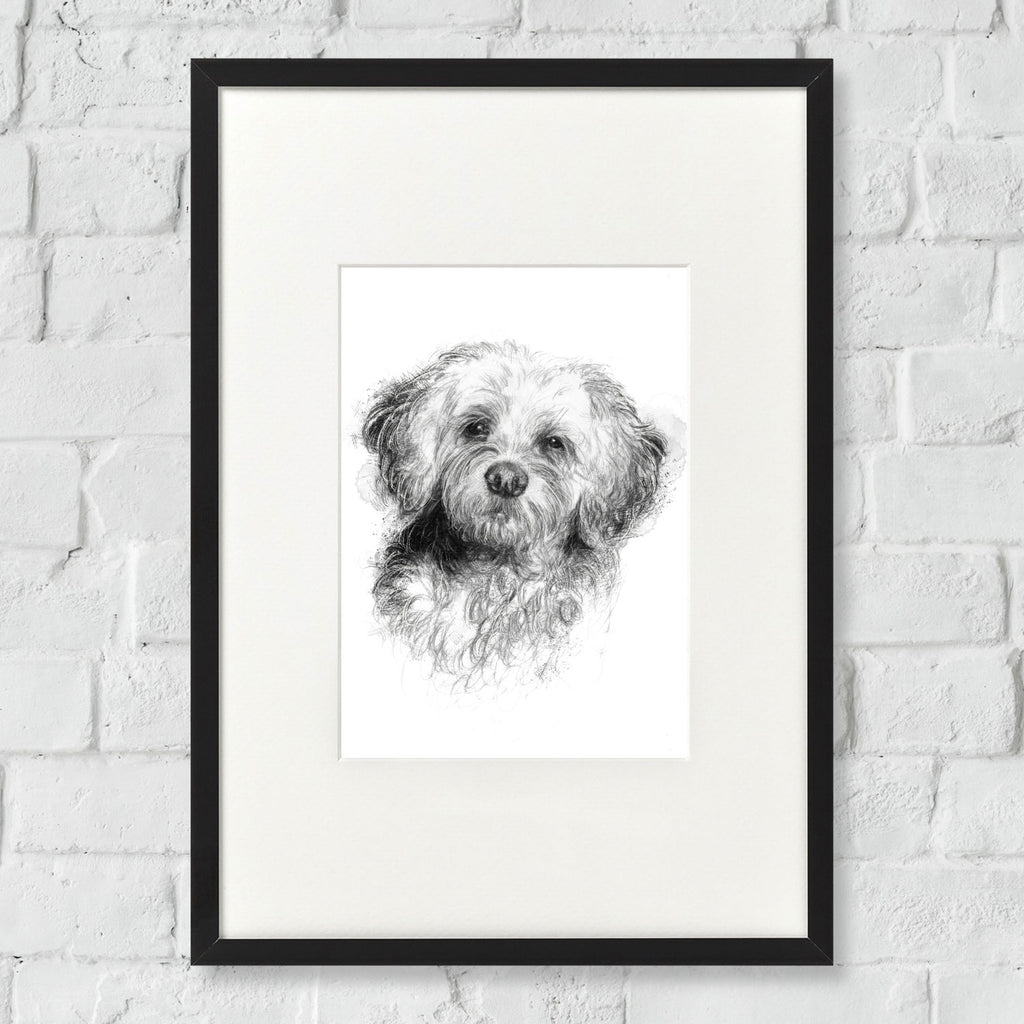 Cockerpoo
