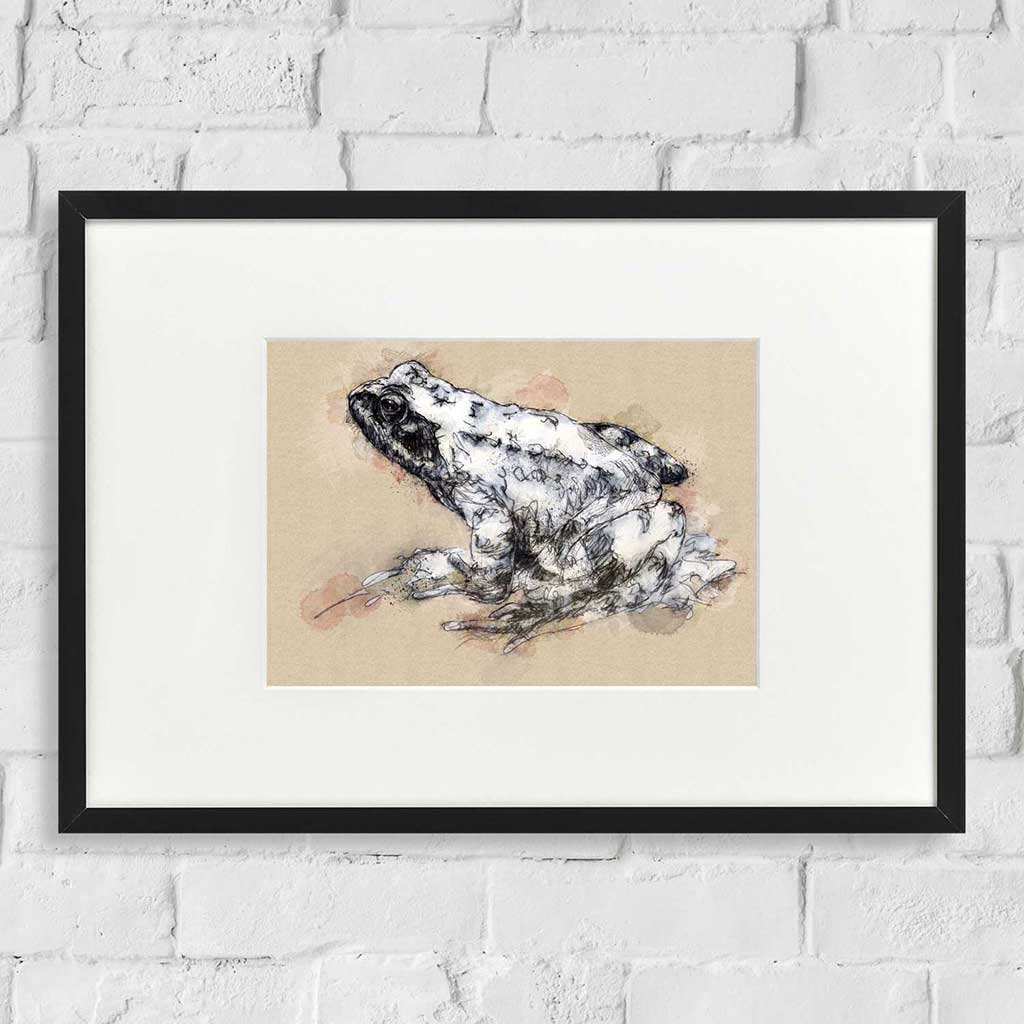 Common frog