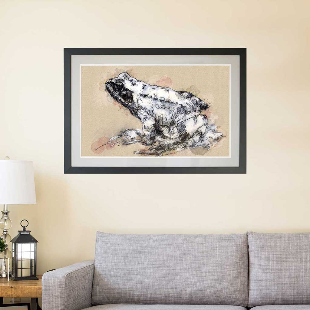 Common frog