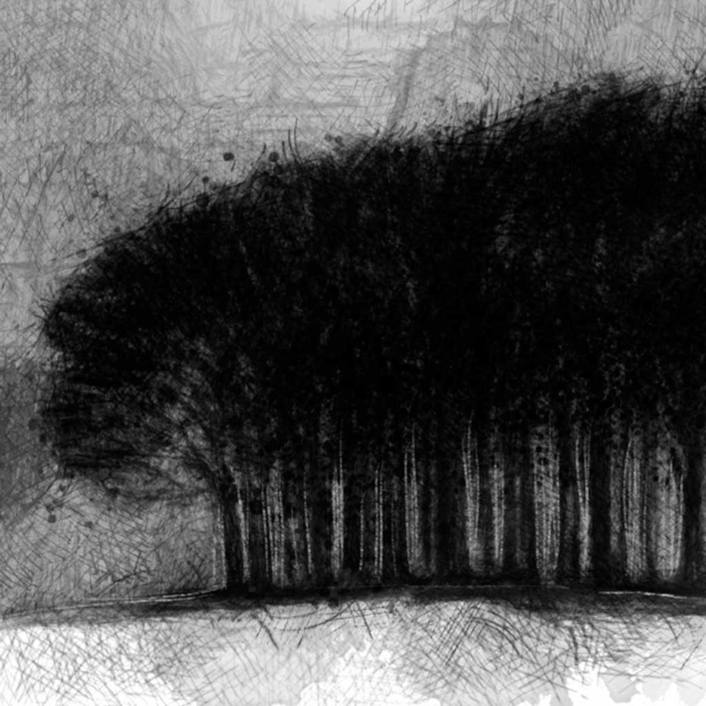 Stormy copse