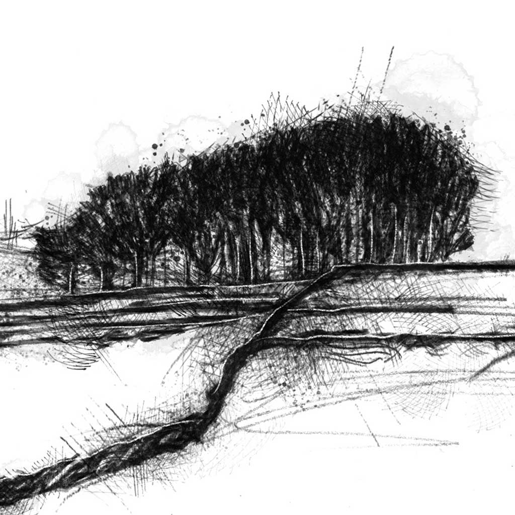 Winter copse