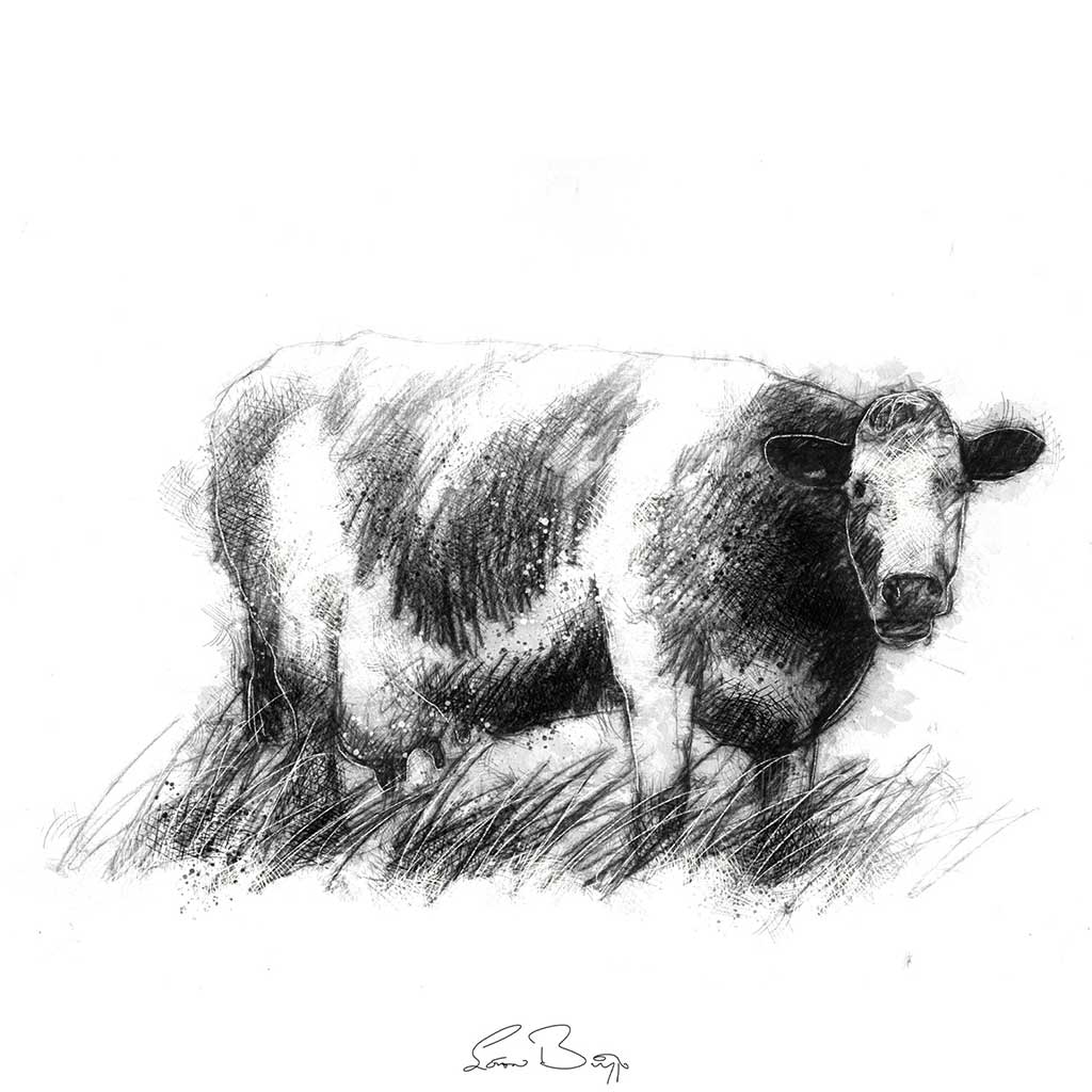Another cow