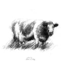 Another cow