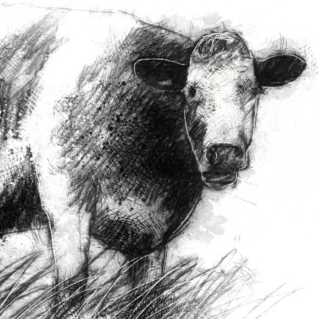 Another cow