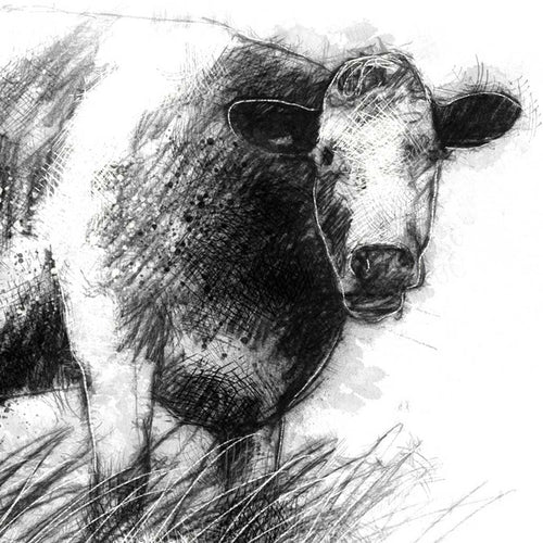 Another cow